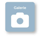 Impressionen Impressionen Nissholm, Dagebüll